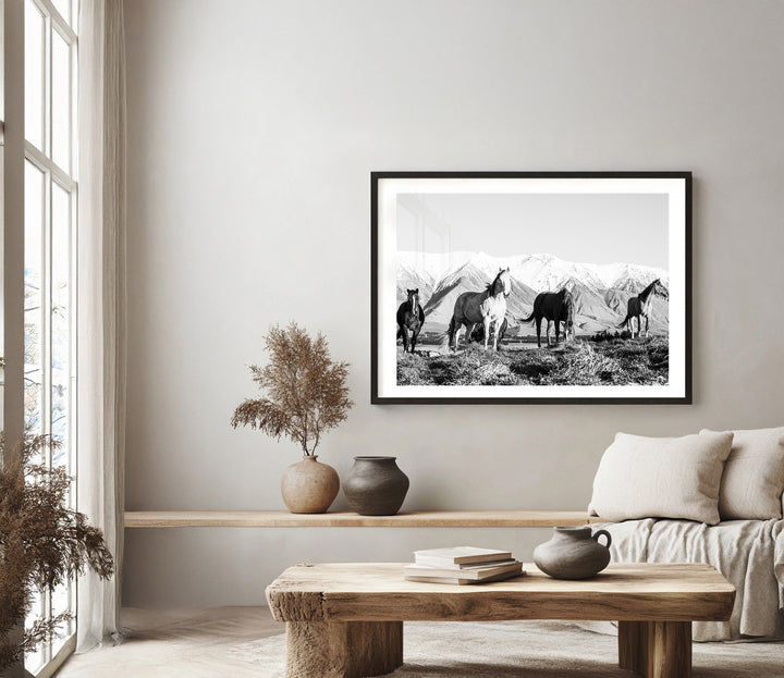 High Country Horses