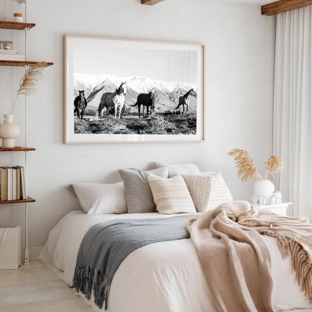 High Country Horses