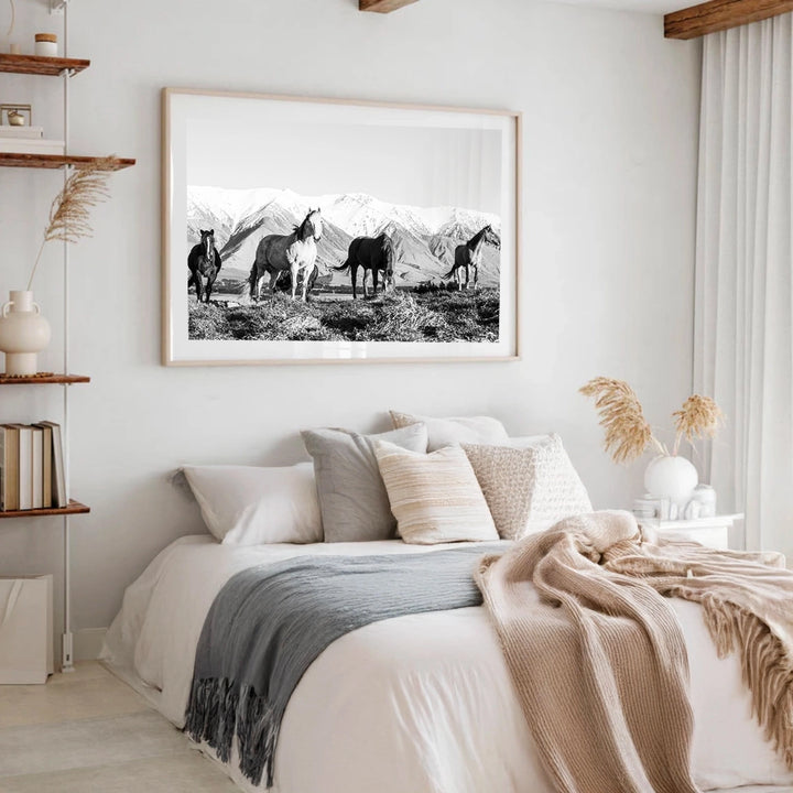 High Country Horses