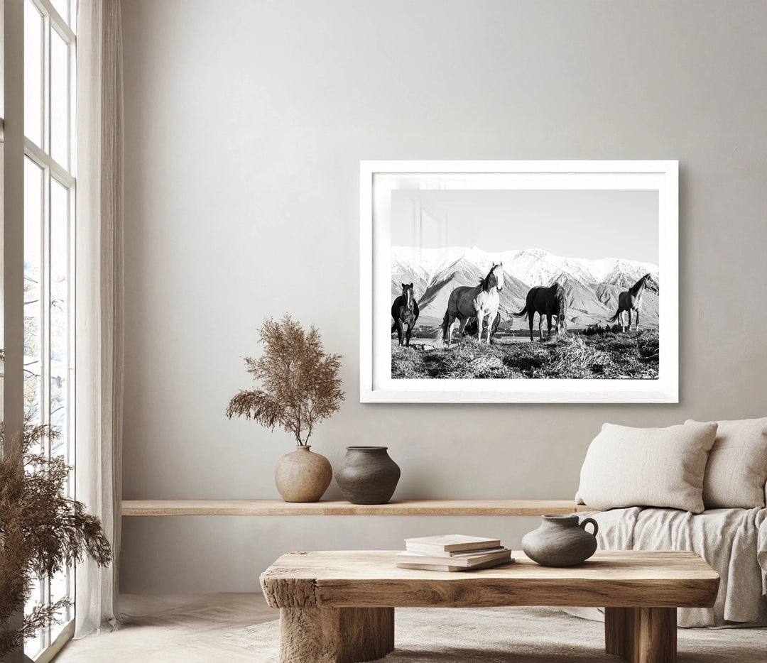 High Country Horses