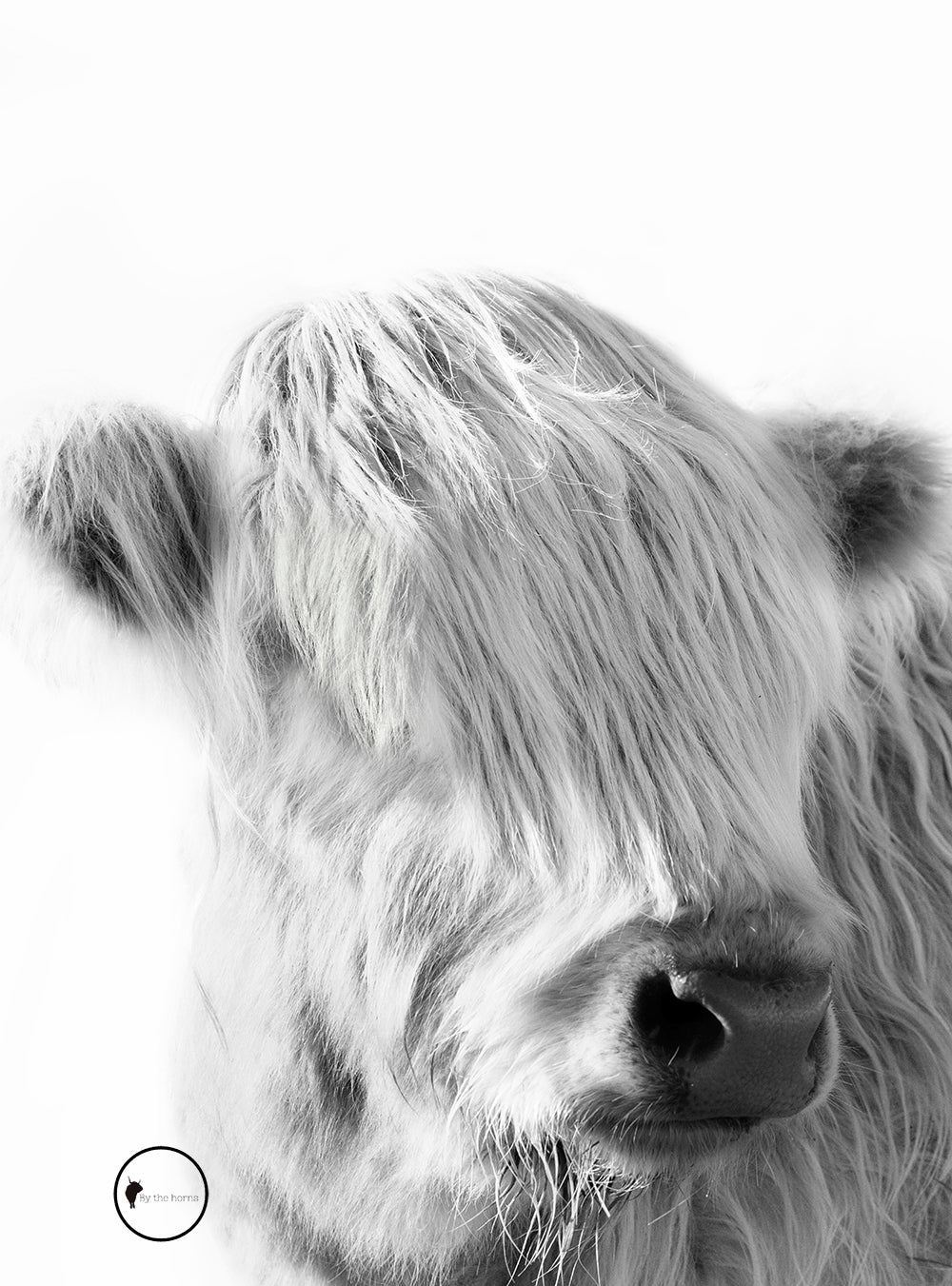 I See You Pair B&W