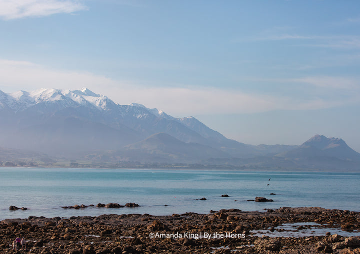 Kaikoura Coast