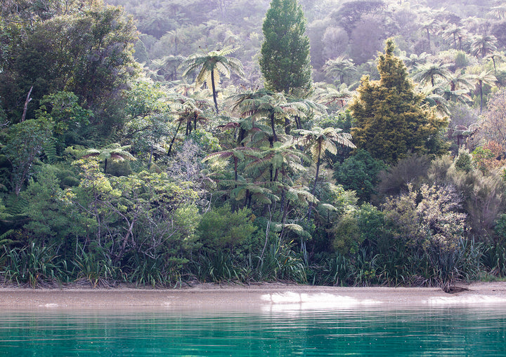 Marlborough Sounds