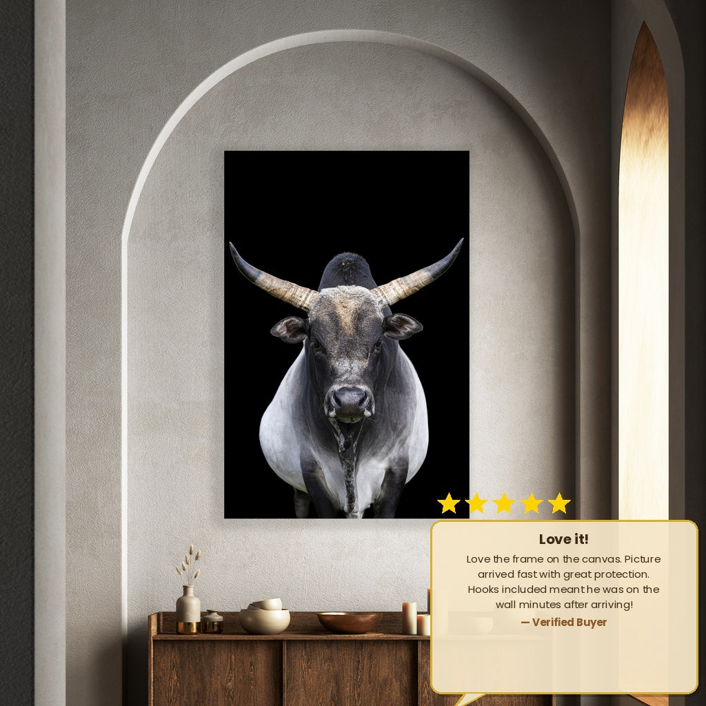 Nero The Zebu