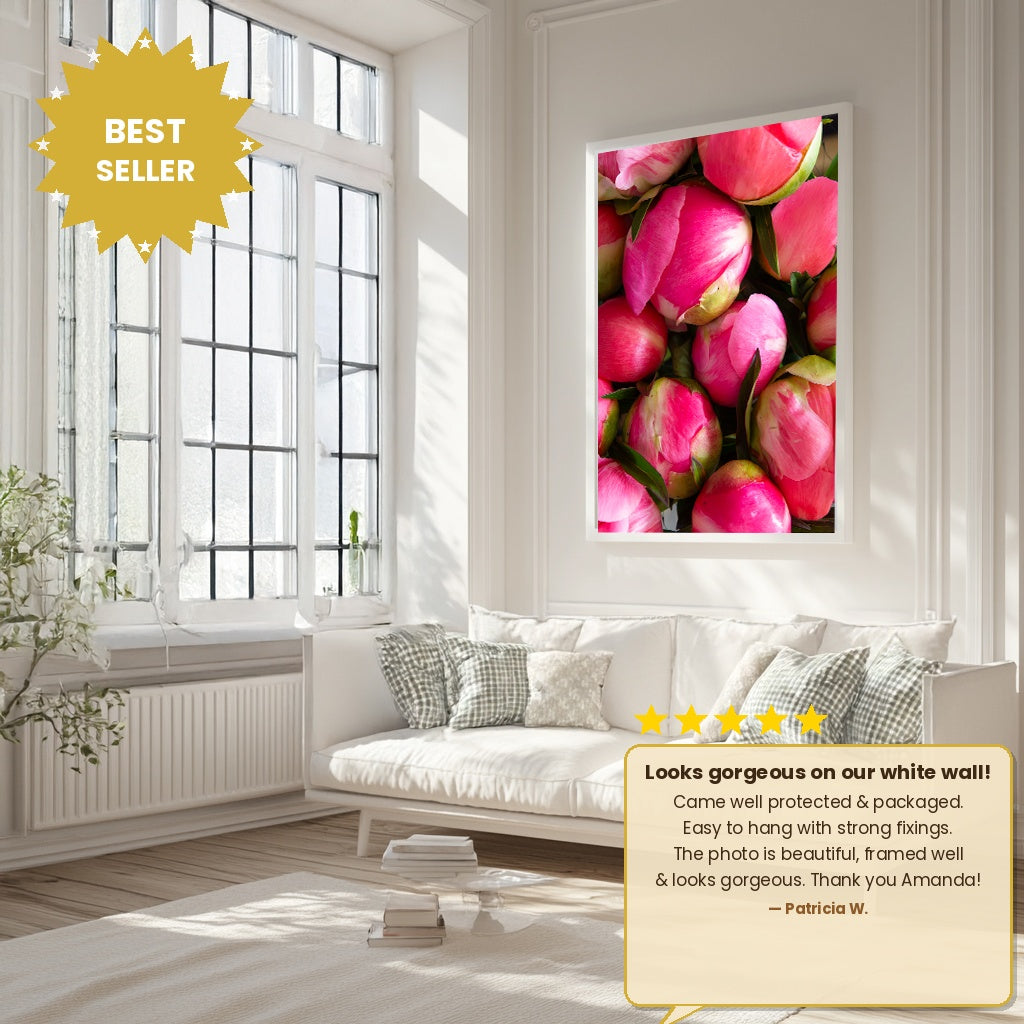 Peony Roseate