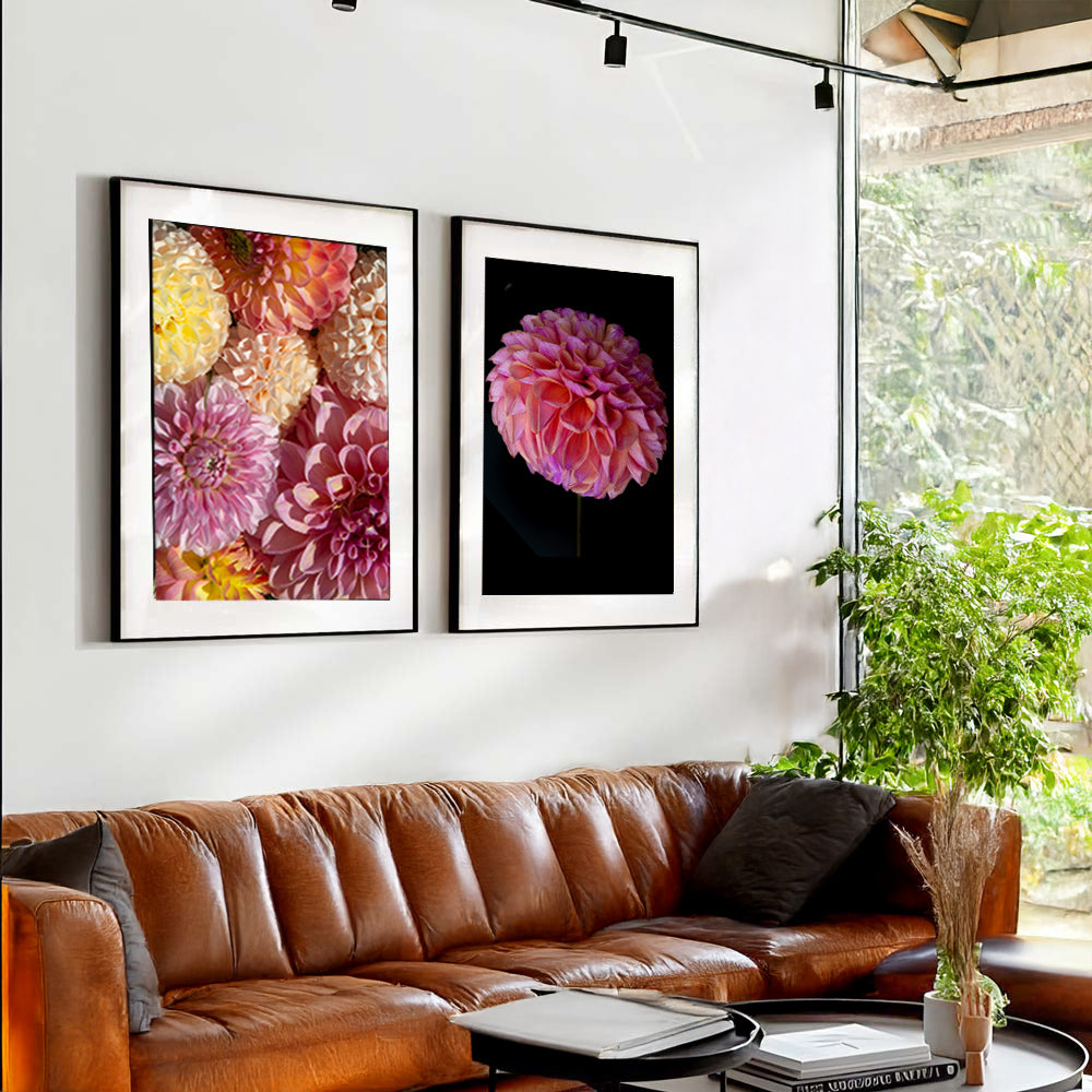 Set of 2 - Dahlia Duo