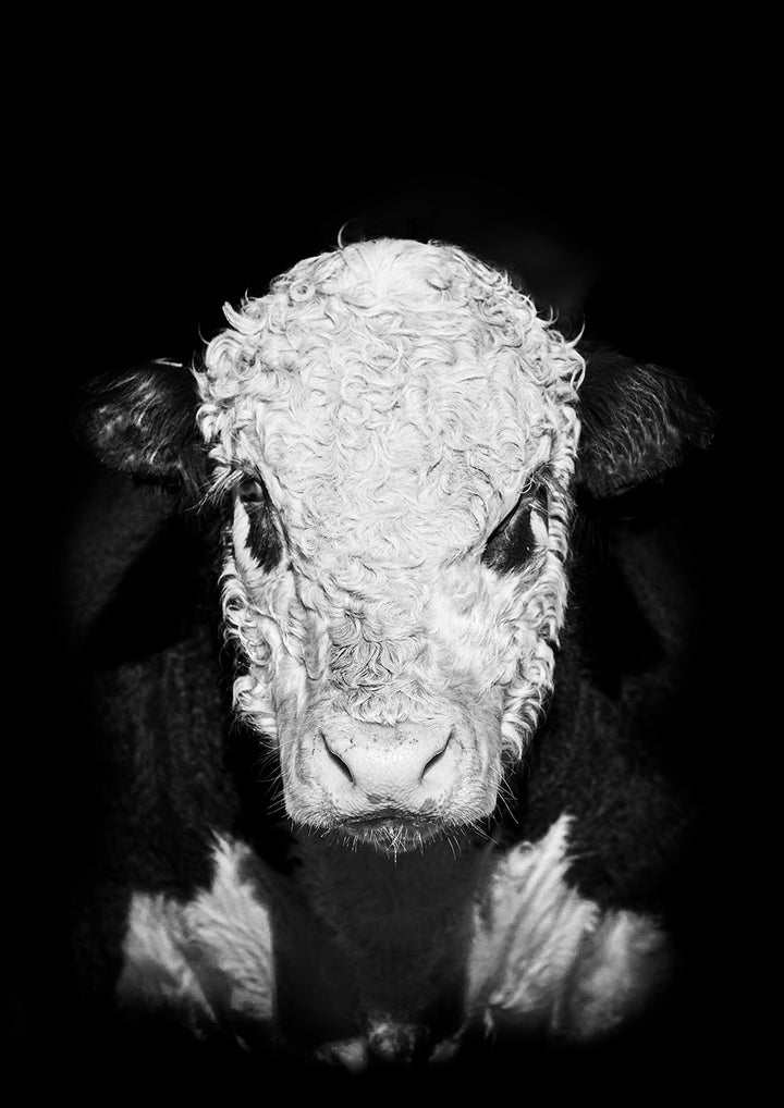 The Keeper