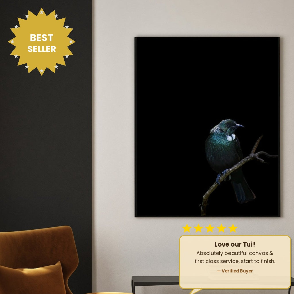 Tui