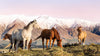 Winter Horses Digital Download