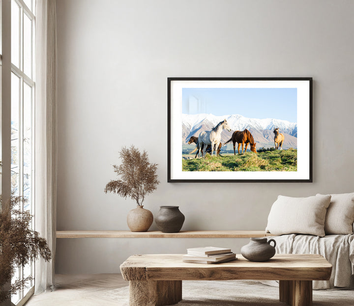 Winter Horses
