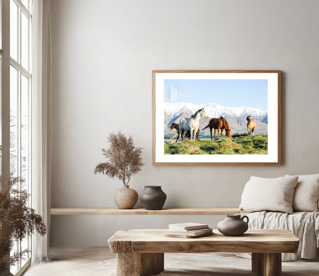 Winter Horses