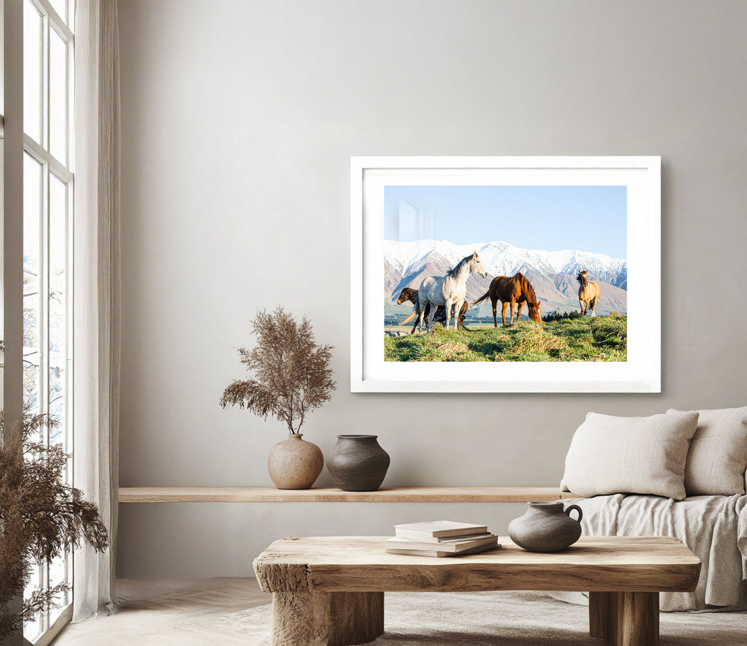 Winter Horses