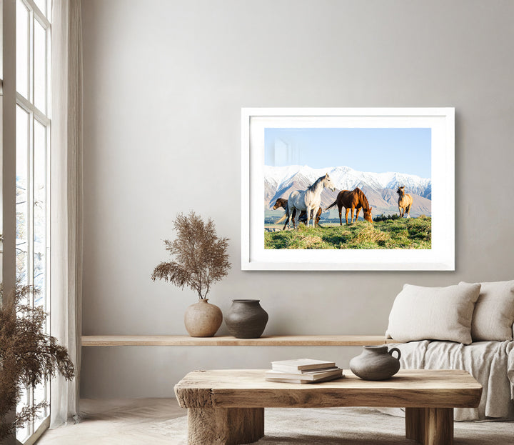 Winter Horses