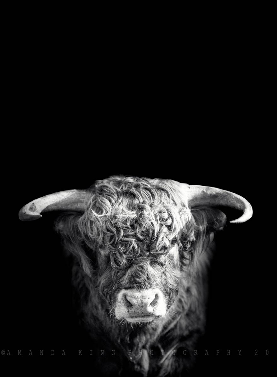 Fergus B&W