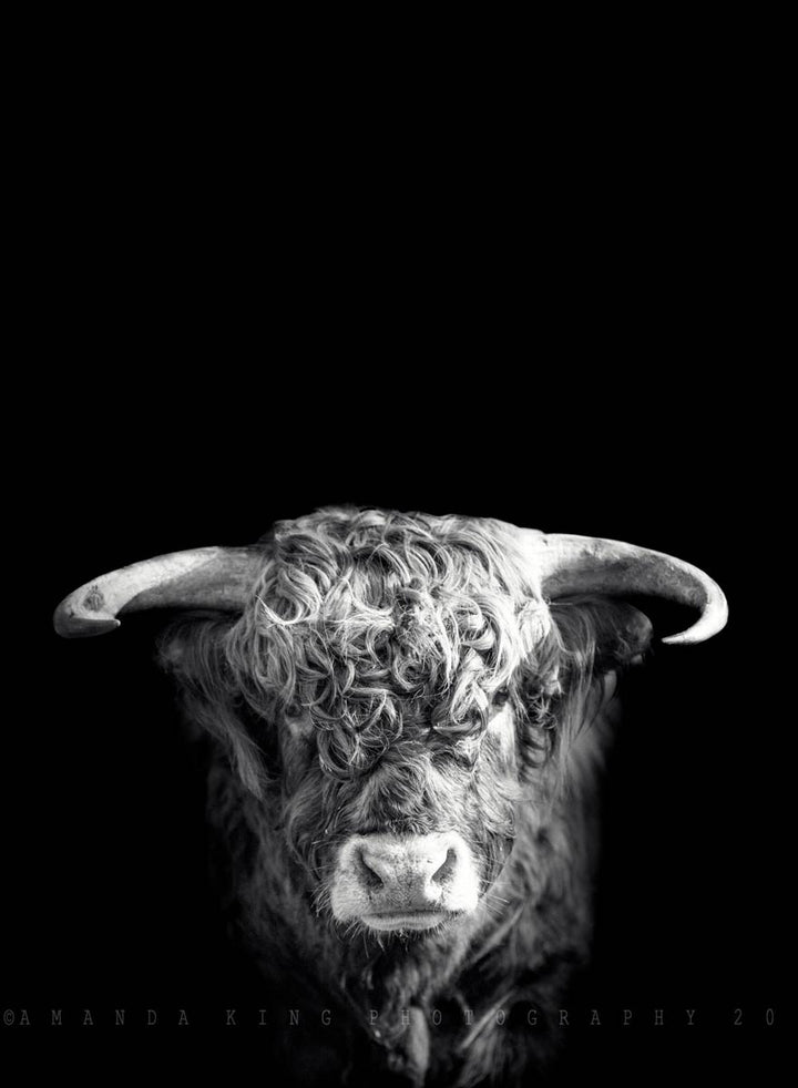 Fergus B&W