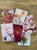 Blushing Pink Floral Collection - Greeting Cards