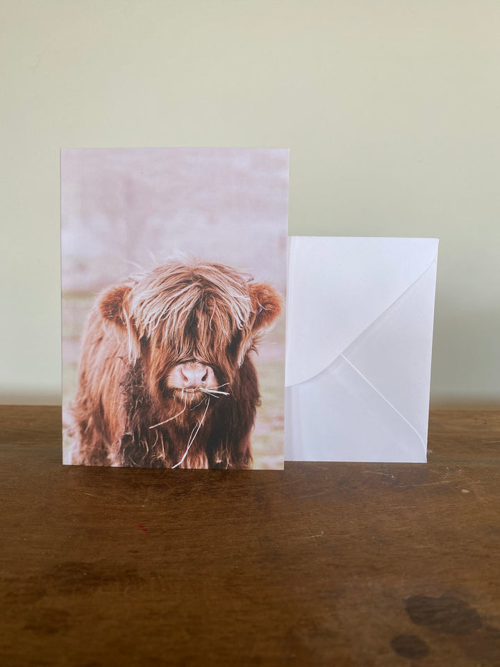 The Bovine Collection - Greeting Cards