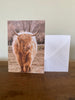The Bovine Collection - Greeting Cards