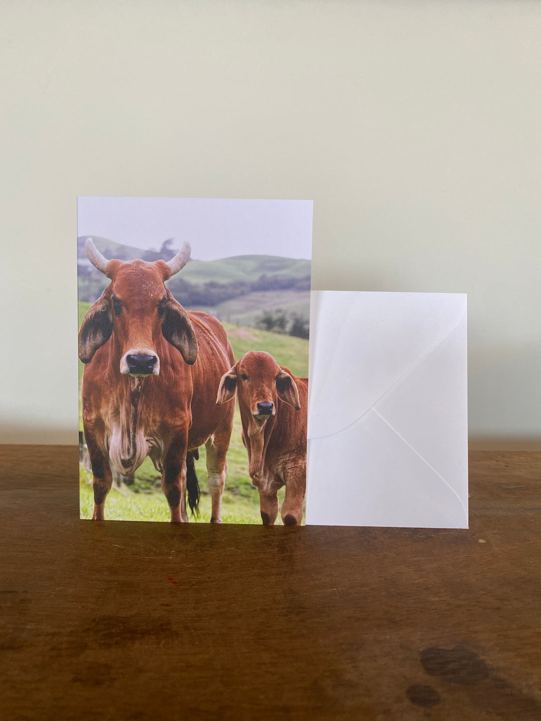 The Bovine Collection - Greeting Cards