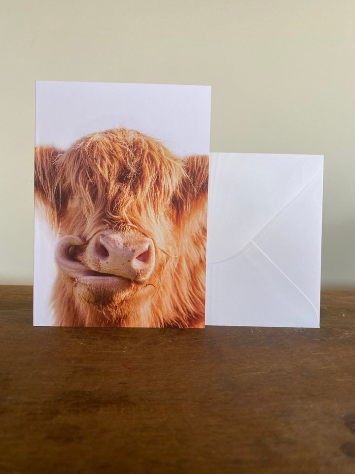 The Bovine Collection - Greeting Cards