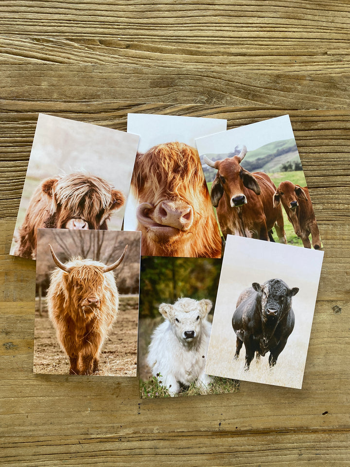 The Bovine Collection - Greeting Cards