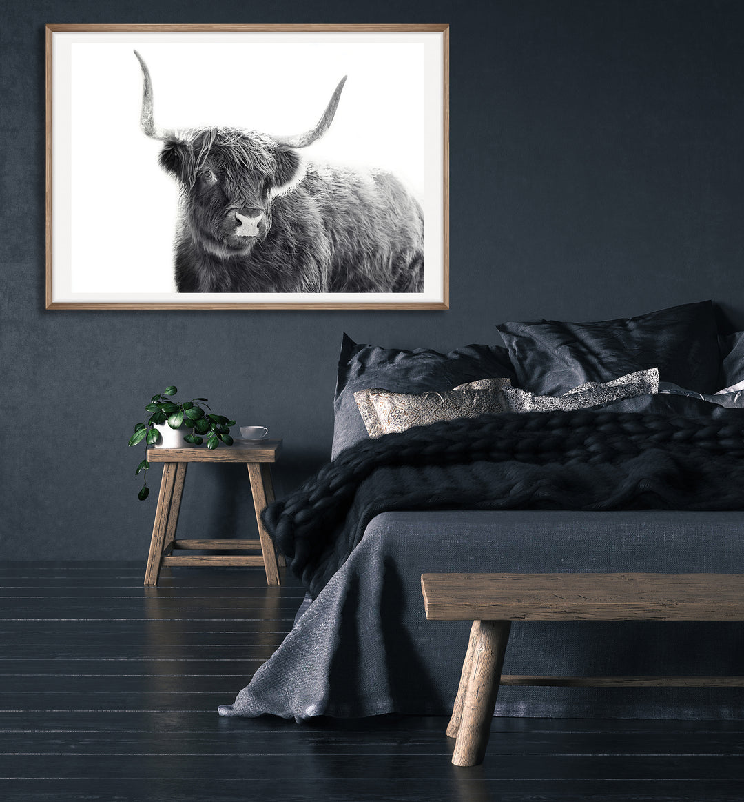 The Coy Coo B&W