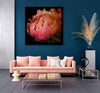 The Coral Peony