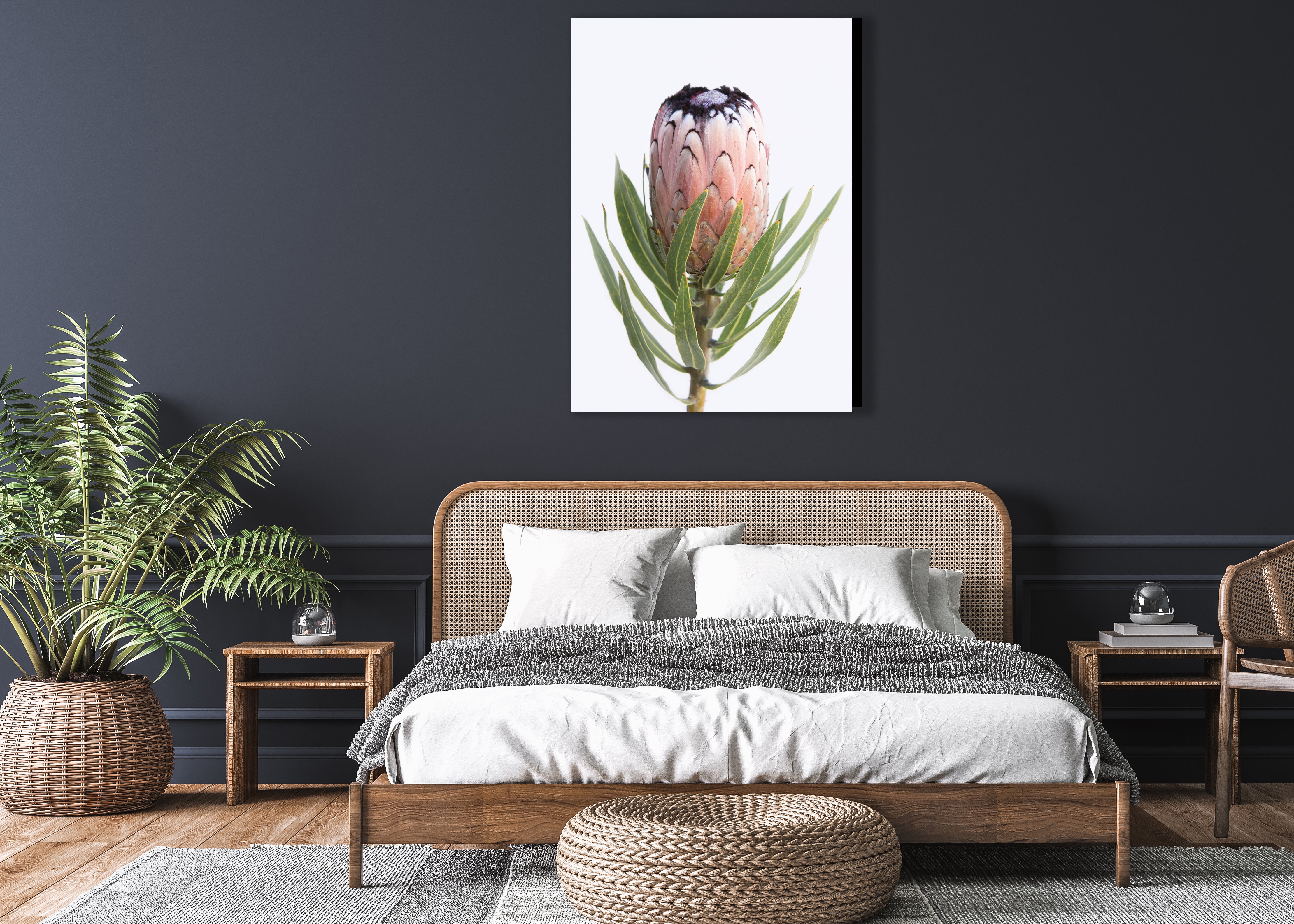 絵画 額縁付 プロテア protea 2096563849.jpg