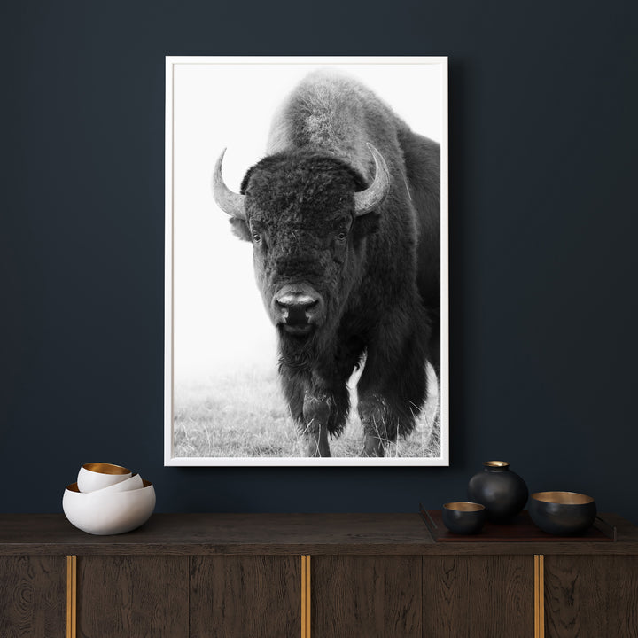 Tatanka B&W