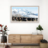 Winter Cows Digital Download for Frame TV